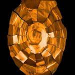 Jason Mennick Jason Mennick