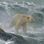 Robert Bateman Robert Bateman