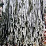 Matthew Coles Matthew Coles