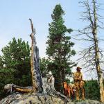 Paul Calle Paul Calle