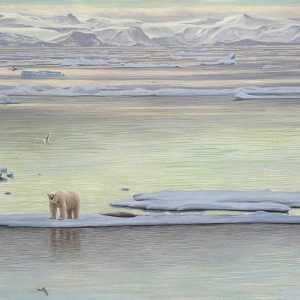 Robert Bateman - Arctic Ice Polar Bear
