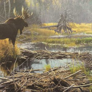Robert Bateman - Autumn Overture Moose