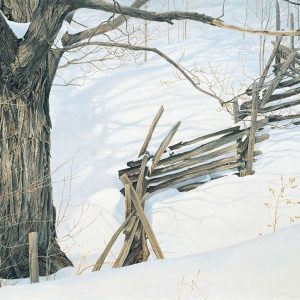 Robert Bateman - Window Into Ontario