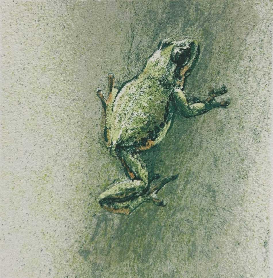 Robert Bateman - Beach Grass and Tree Frog