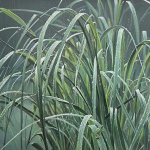 Robert Bateman - Beach Grass and Tree Frog