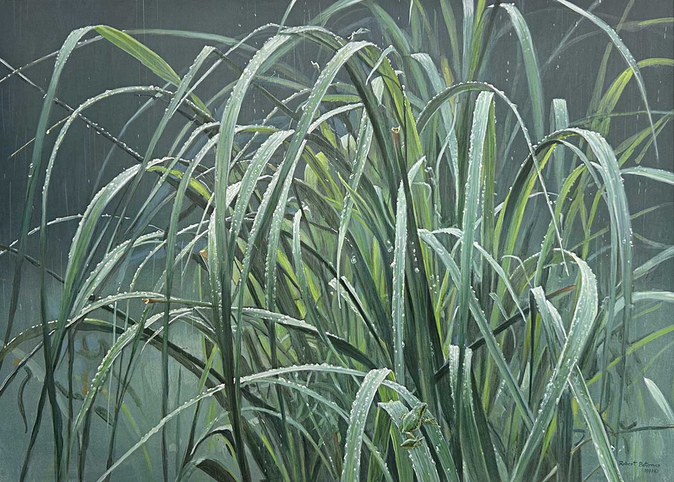 Robert Bateman - Beach Grass and Tree Frog