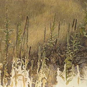 Robert Bateman - Goldfinch with Mullein