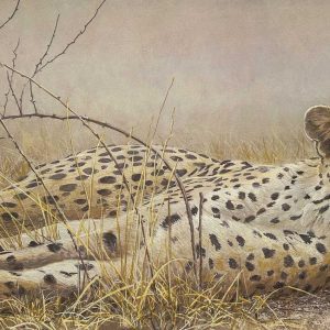 Robert Bateman - Londolosi Cheetah