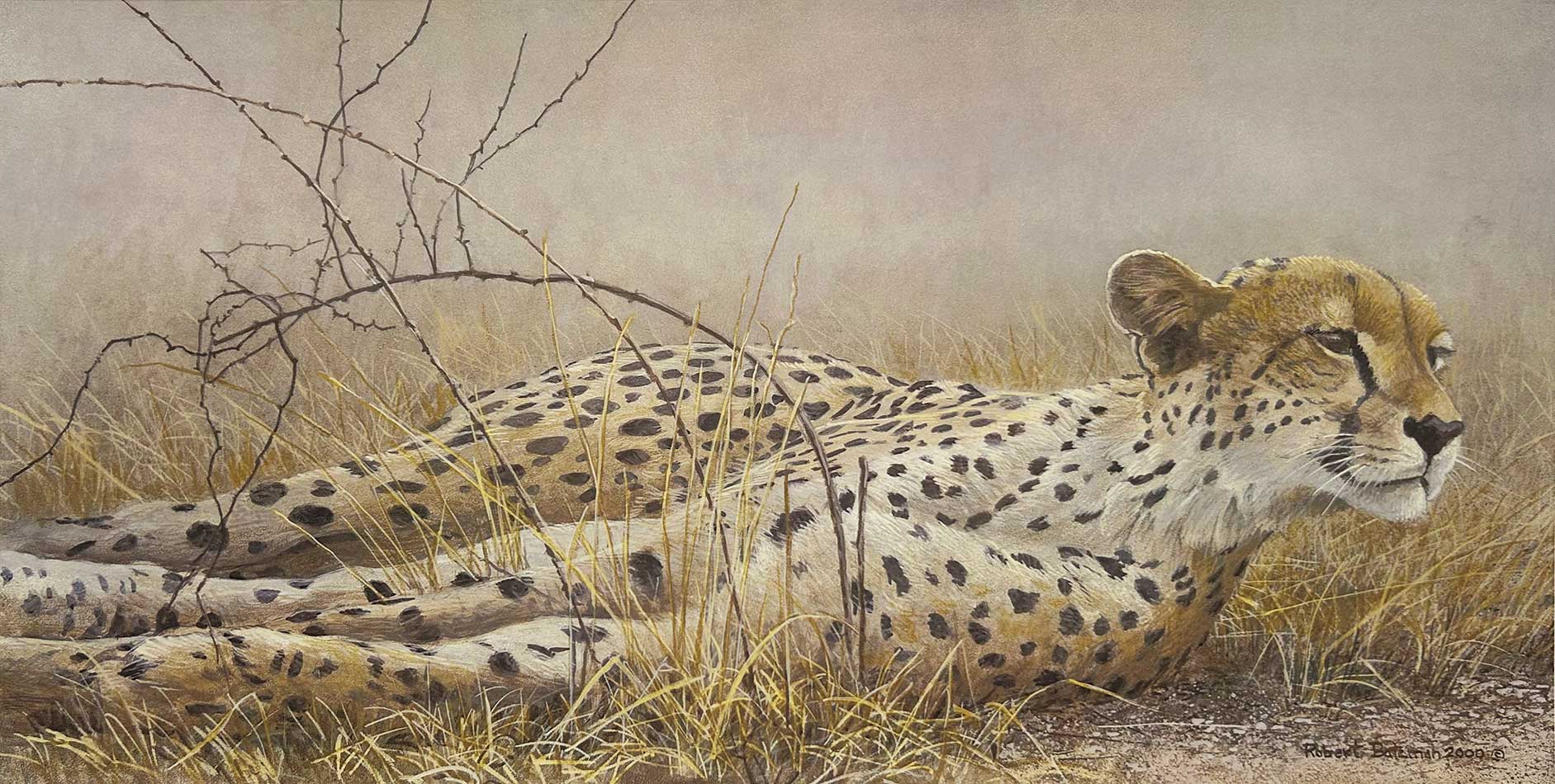Robert Bateman - Londolosi Cheetah