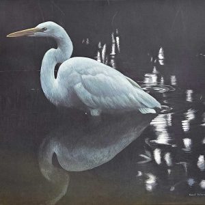 Robert Bateman - Mangrove Shadows