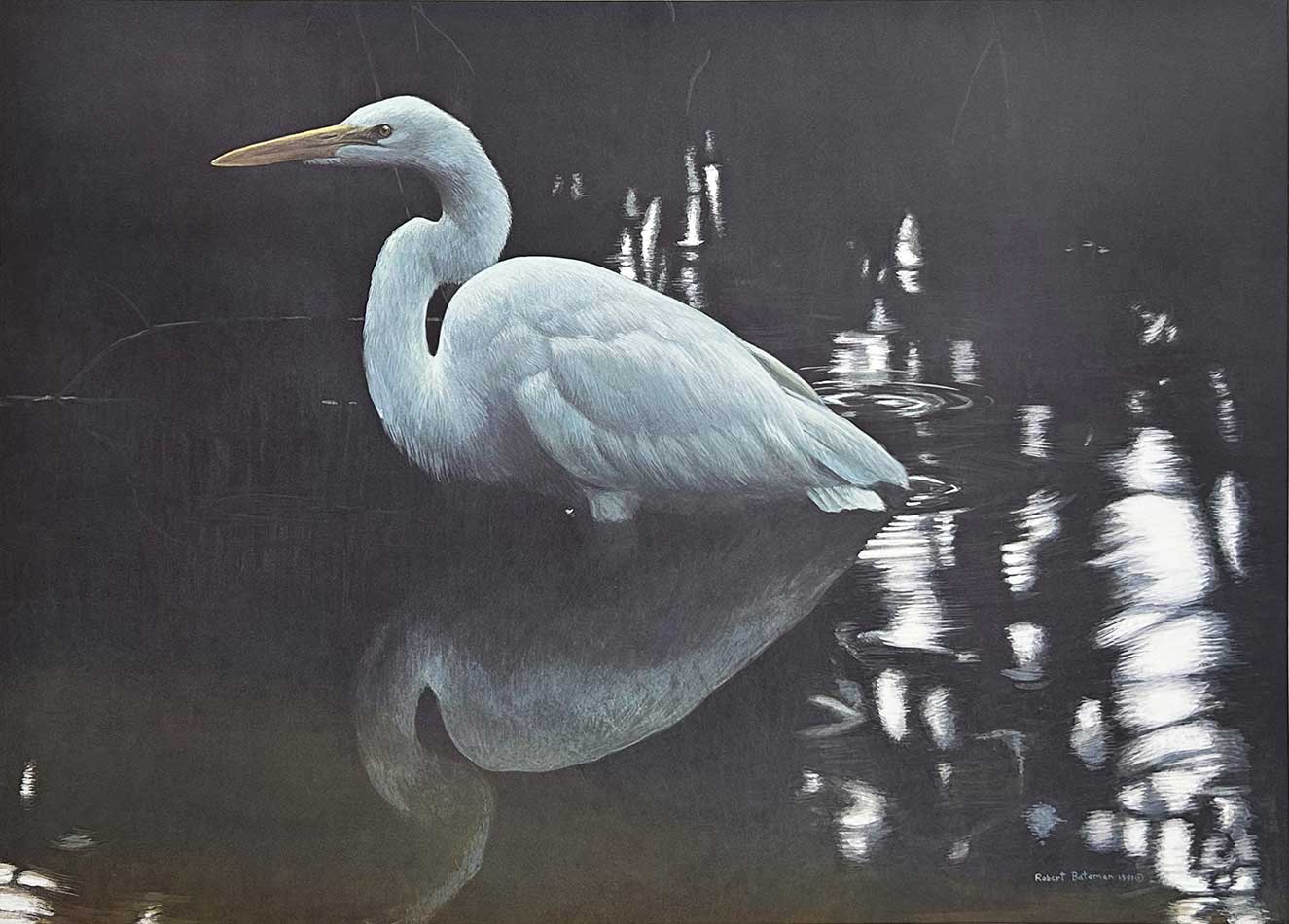 Robert Bateman - Mangrove Shadows