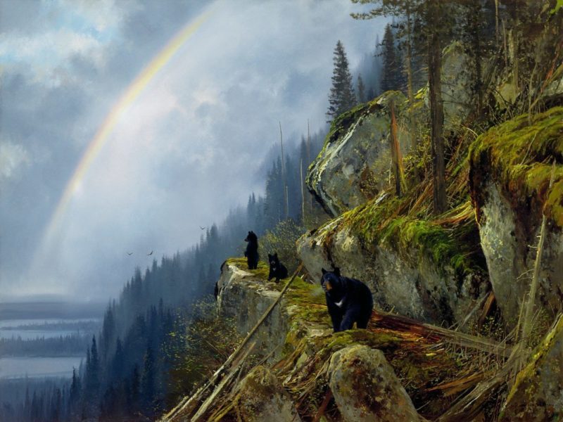 Michael Coleman-On the Nimpkish River Black Bears