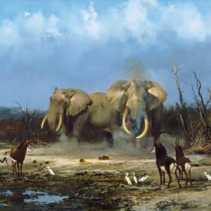 Michael Coleman-On the Nunga River Bull Elephants