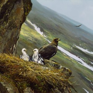 Michael Coleman-Regal View Golden Eagle