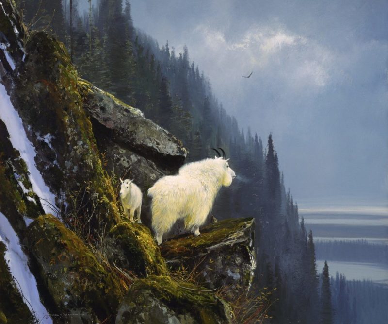 Michael Coleman-Rugged Heights Mountain Goats