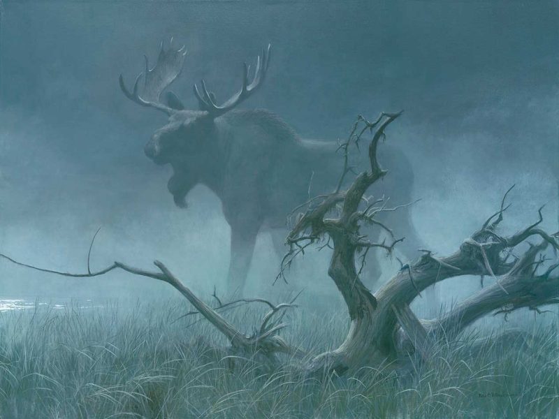 Robert Bateman - Moose In Moonlight