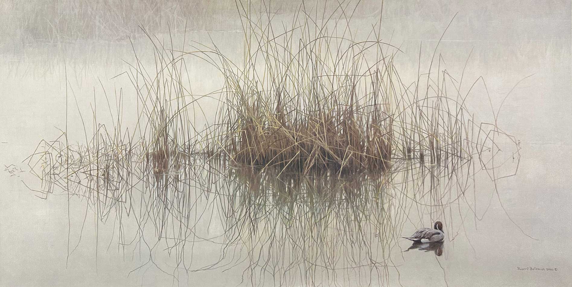 Robert Bateman - Morning Calm