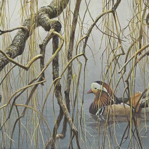 Robert Bateman - Old Willow Mandarin Pair