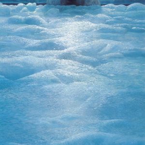 Polar Lookout - John Seerey-Lester