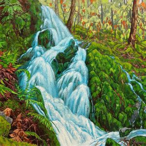 Dominik Modlinski - Rainforest Spring