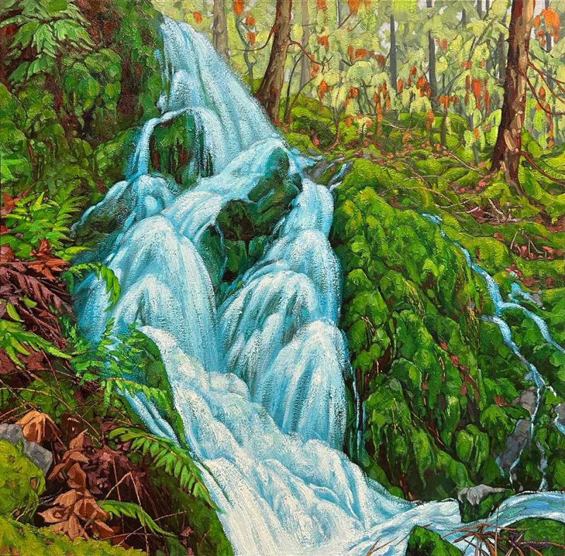 Dominik Modlinski - Rainforest Spring
