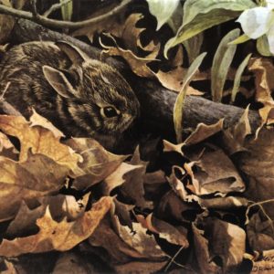 Robert Bateman-Among the Leaves