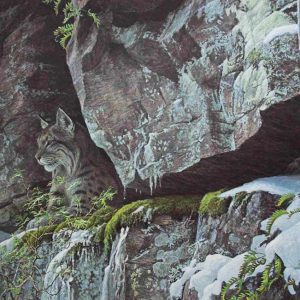 Robert Bateman-At the Cliff - Bobcat