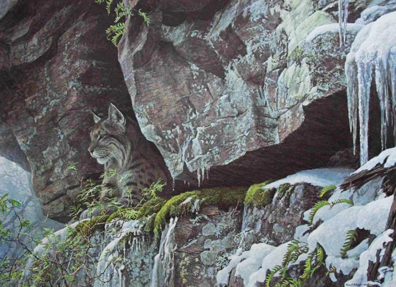 Robert Bateman-At the Cliff - Bobcat