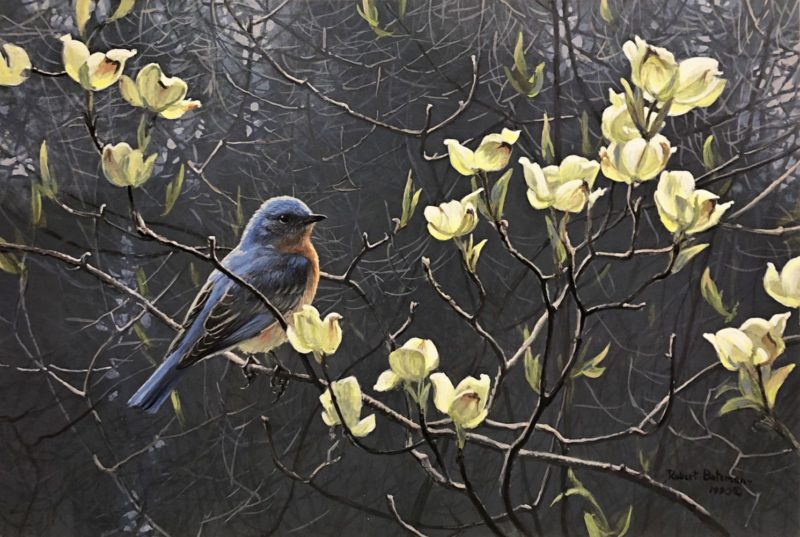 Robert Bateman-Bluebird and Blossoms