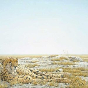 Robert Bateman-Cheetah Siesta
