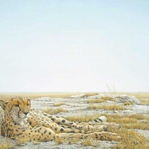 Robert Bateman-Cheetah Siesta
