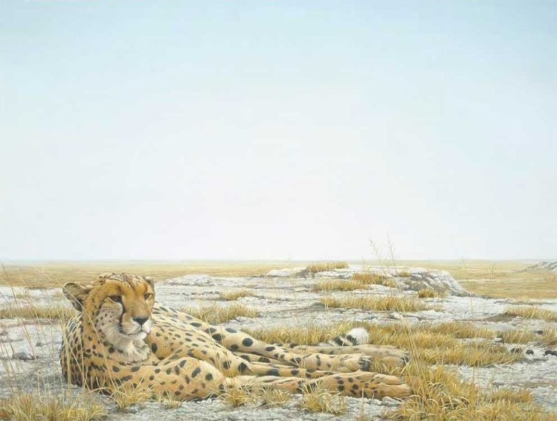 Robert Bateman-Cheetah Siesta