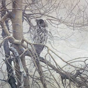 Robert Bateman-Ghost of the North - Great Gray Owl