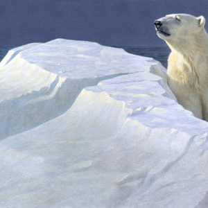 Robert Bateman-Long Light Polar Bear
