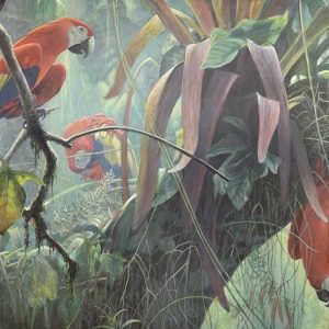 Robert Bateman-Tropical Canopy - Scarlet Macaws