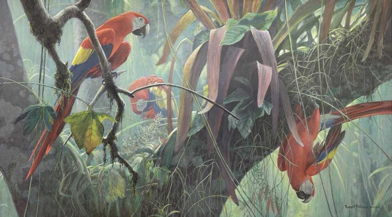 Robert Bateman-Tropical Canopy - Scarlet Macaws