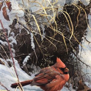Robert Bateman-Winter Cardinal