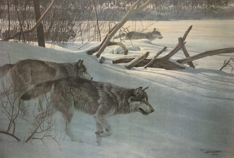 Robert Bateman-Wolfpack in Moonlight