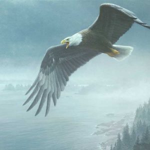 Robert Bateman-On the Wing-Bald Eagle