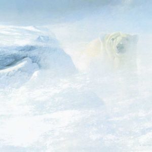 Robert Bateman - White Encounter - Polar Bear