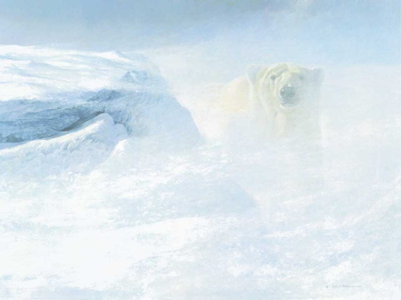 Robert Bateman - White Encounter - Polar Bear