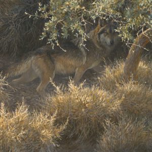 Robert Bateman - Sierra Evening