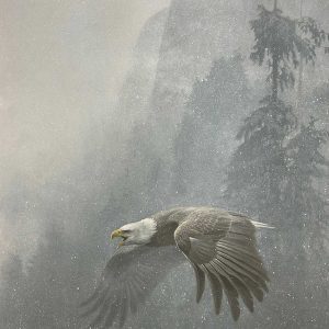 Vigilance