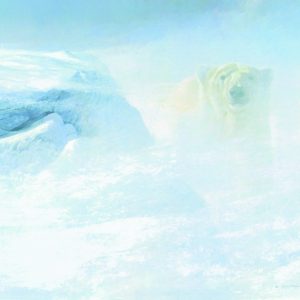 White Encounter - Polar Bear
