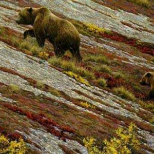 Robert Bateman-alaskan autumn