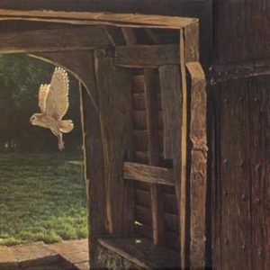 Robert Bateman-barn owl in the churchyard