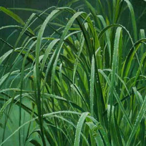 Robert Bateman-beach grass and tree frog