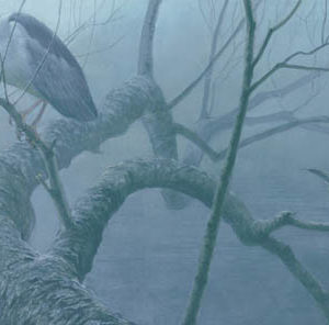 Robert Bateman-black crowned night heron pair