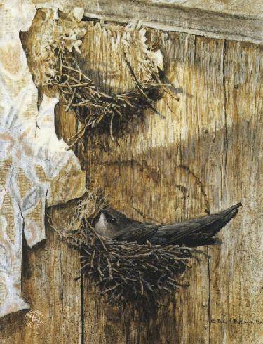 Robert Bateman-chimney swift on nest