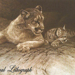 Robert Bateman-cougar and kit